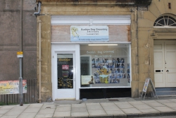 Buddys Dog Grooming Hawick